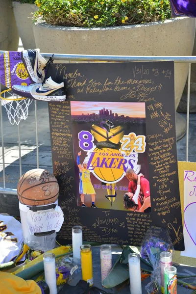 DSC_7133 (Large).JPG